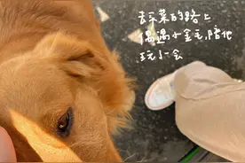 〖百毒不侵的霸气文案〗图片