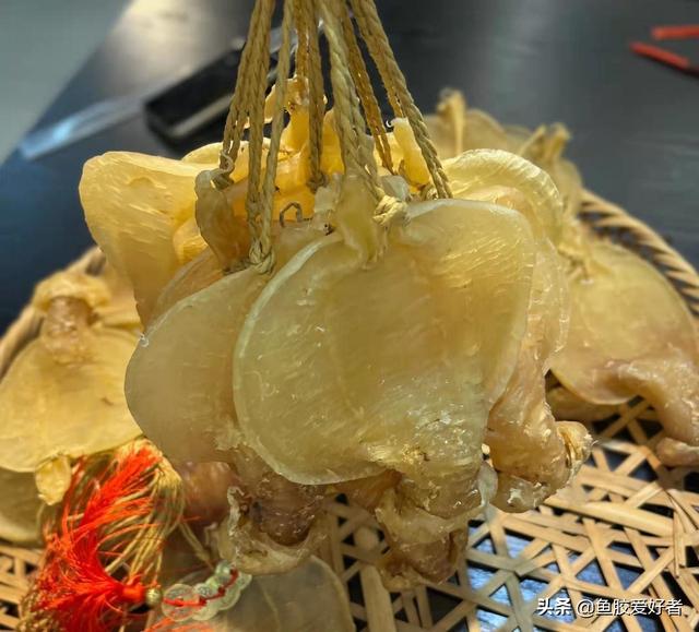 湛江赤嘴鱼胶图片 2026年湛江赤嘴鱼胶的功效与作用