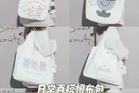 宝藏帆布包推荐丨平价百搭日常大容量图片
