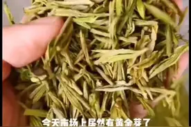 浙江市场惊现黄金芽！内行直呼不得了图片