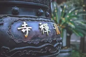 俗语“男人有福两腿毛，无福之人毛两腿”，啥意思，有道理吗？图片