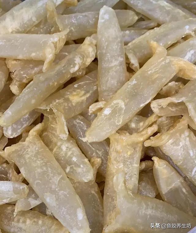 越南巴沙鱼胶好吗 2026年越南巴沙鱼的功效与作用