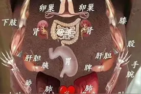 舌诊与五脏的关系第五篇：舌根与肾图片