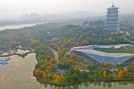 收美图！西安世博园秋意盎然图片