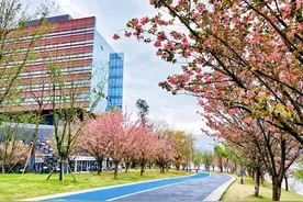 2022年春季成都市“最美街道最差街道”评选活动，进入终选阶段！图片