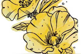 美丽的手绘鲜花花卉图图片