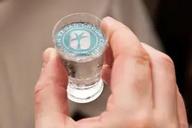 没能熬过七年之痒，海南椰岛重回国资怀抱图片