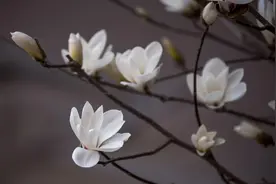 命里出现这些“变数”，说明老天正在渡你图片