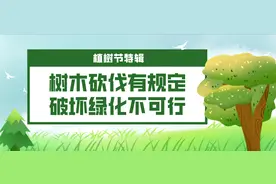 【植树节特辑】树木砍伐有规定，破坏绿化不可行图片
