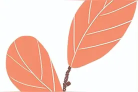 关于合同格式条款的24条裁判规则图片