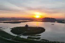 美丽津南 绿屏起 稻飘香图片