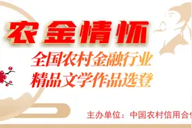 我当信贷员的那些年图片