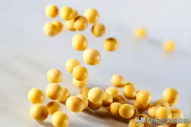 大豆酶解制备大豆蛋白肽在保健品行业的应用图片