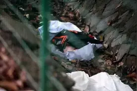 说案：云南男子带儿子就医，途中发现儿子停止呼吸，将其抛尸草丛图片