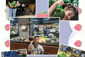 课程故事 | 宁波市江北区世茂天慧幼儿园：趣探南瓜图片