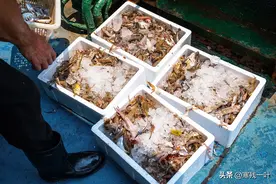 十个人3000块包船出海捕鱼，捞上来四大箱海鲜，大家看看值不值？图片