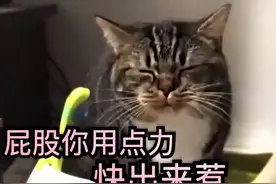 喵生难以逃脱的魔掌——便秘，这2种简单解决方案也太便宜了吧图片