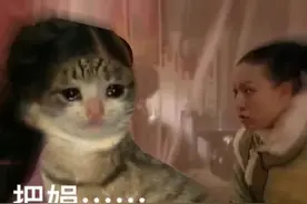 表情包：宝娟，我的嗓子图片
