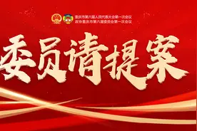 委员请提案 | 黄伟：加快推进重庆新机场及临空经济区规划建设图片
