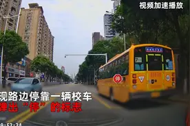 司机礼让校车遭后方多车鸣笛超行，交警发视频向车主科普图片