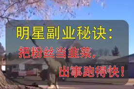 明星副业秘诀：把粉丝当韭菜，出事跑得快图片