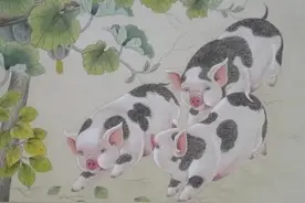 生肖猪熬过难熬的2023年，就会好运不断，幸福开心，越来越有钱图片
