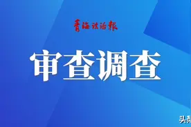 青海国投天路物流有限公司原董事长王军被开除党籍和公职图片