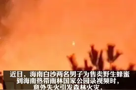海南白沙：两男子为卖蜂蜜录视频烧毁国家公园，获刑并赔偿近百万图片