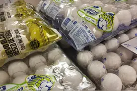 蛋价飞涨下，美国人各出奇招：有人走私鸡蛋，有人自己养鸡图片