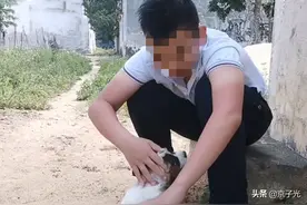 江苏一男子寄养狗狗不愿领回，宠物店：养不起又扔不得，咋办？图片