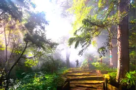 清凉广元等您来 | 有风景、有历史 、有文化，快来打卡这条蜀道徒步游线路！图片