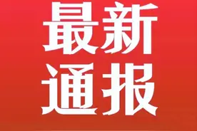 最新通报！鹤城区校外培训机构“白名单”公布图片