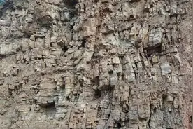 种植兰花的沃土—风化石图片