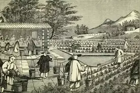 一篇文章说清，满清皇室和八旗的待遇图片