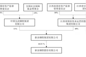 中国宝武为何重组新钢集团？新钢股份业务结构、组织机构大调整图片
