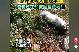 上海一网友野钓，意外发现大量蔬菜，包装还在却抛至荒野图片