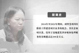 被“光环”罩晕了的女镇长图片