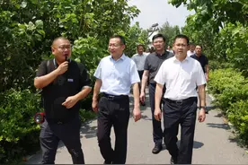 江苏省苏州市吴中区党政代表团来南浔考察图片