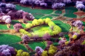 大诗兄：李白与山花图片