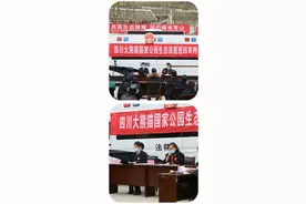 植树节|自己承包林地的树木能随意砍伐吗？不能！图片