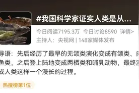 我国科学家证实人类是从鱼进化来的，冲上热搜图片