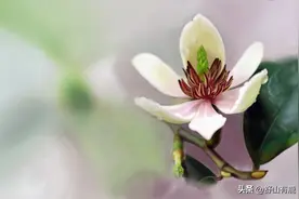 未来几年，普通家庭要留好这9条“活路”，给一家老小保底图片