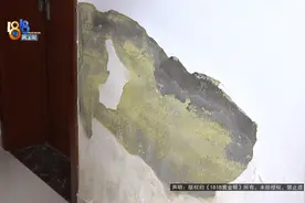 潮，太潮了！图片