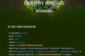 魔兽TBC：竞速团长6角色账号神奇被封，查到原因后网友拍手点赞图片