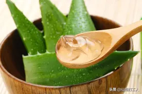 家里养一棵芦荟吧，它有十大救急场面，关键时刻真的能帮到你图片
