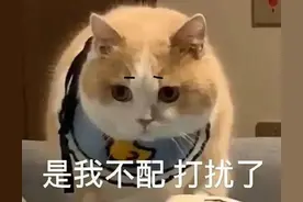 表情包：对不起，是我不配，打扰了图片