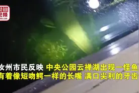 河南一地现“怪鱼”：一条能吃掉整湖鱼！警方回应→图片