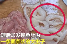 男子网购鲫鱼发现面条状寄生虫，反馈后平台道歉并赔偿30元图片