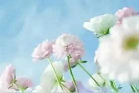 诗的最高境界，顺着读对妻子的思念，倒着读是妻子对丈夫的牵挂图片