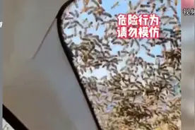 男子挑走蜂王引群蜂围攻 消防员教你正确应对图片